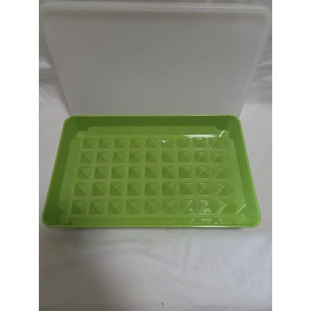 Tupperware Deli Meat Bacon Hot Dog Keeper 10.25